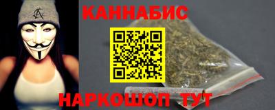 шишки Аргун