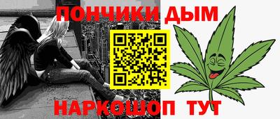 шишки Аргун