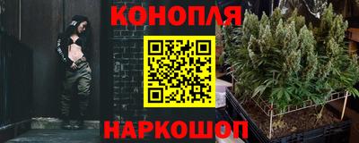шишки Аргун