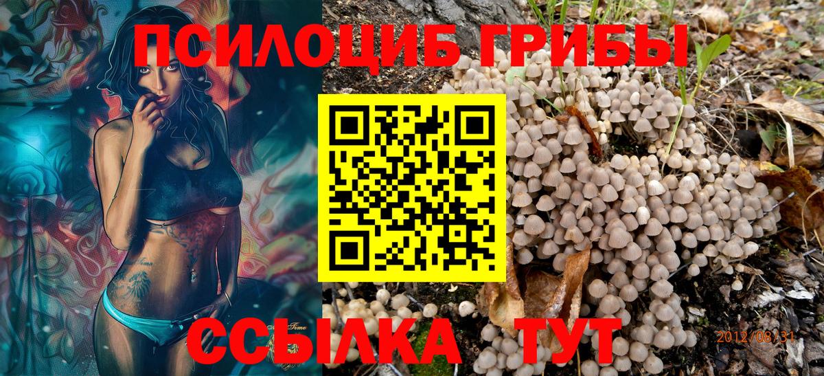 Галлюциногенные грибы MAGIC MUSHROOMS Ачхой-Мартан