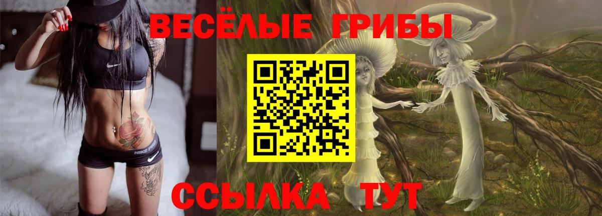 Ачхой-Мартан  Галлюциногенные грибы Cubensis  Псилоцибиновые грибы прущие грибы  Вход с VPN 