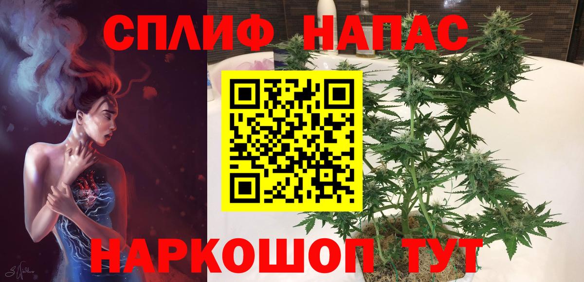 Каннабис планчик  Бошки марихуана AK-47  Вход с VPN  Марихуана Amnesia  МАРИХУАНА White Widow  Ачхой-Мартан 